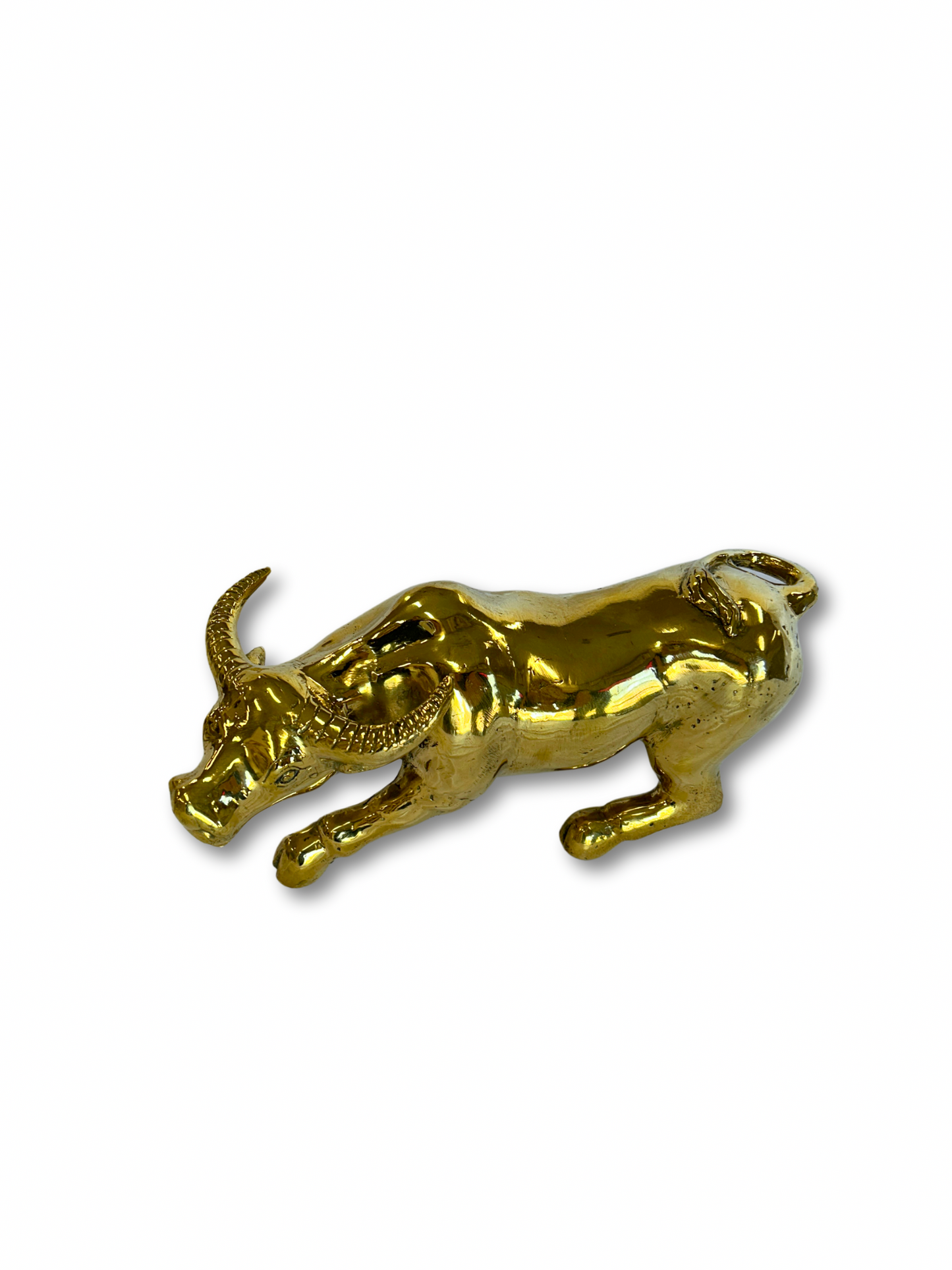 Brass BuffaloLarge