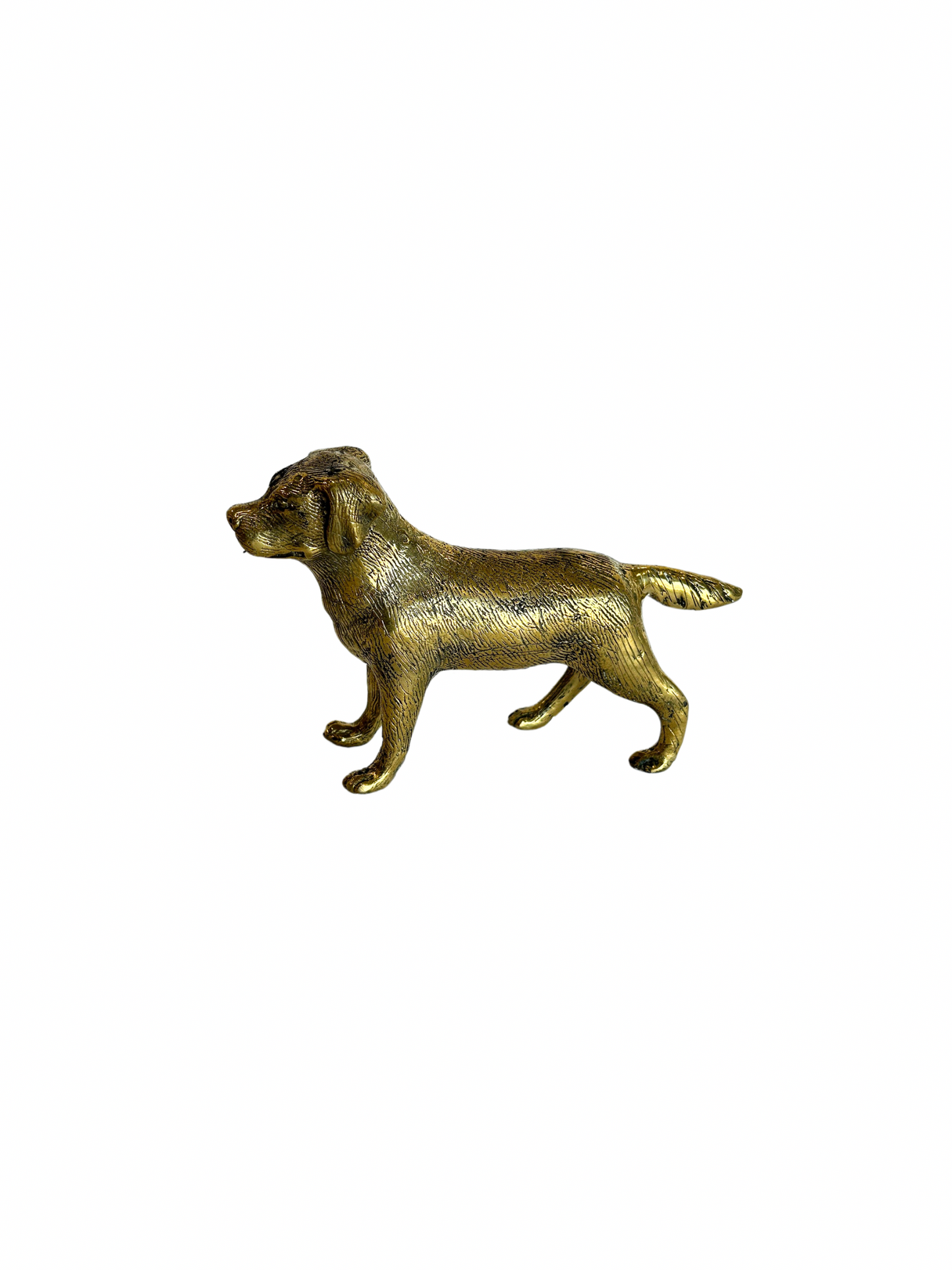 Brass Labrador Dog