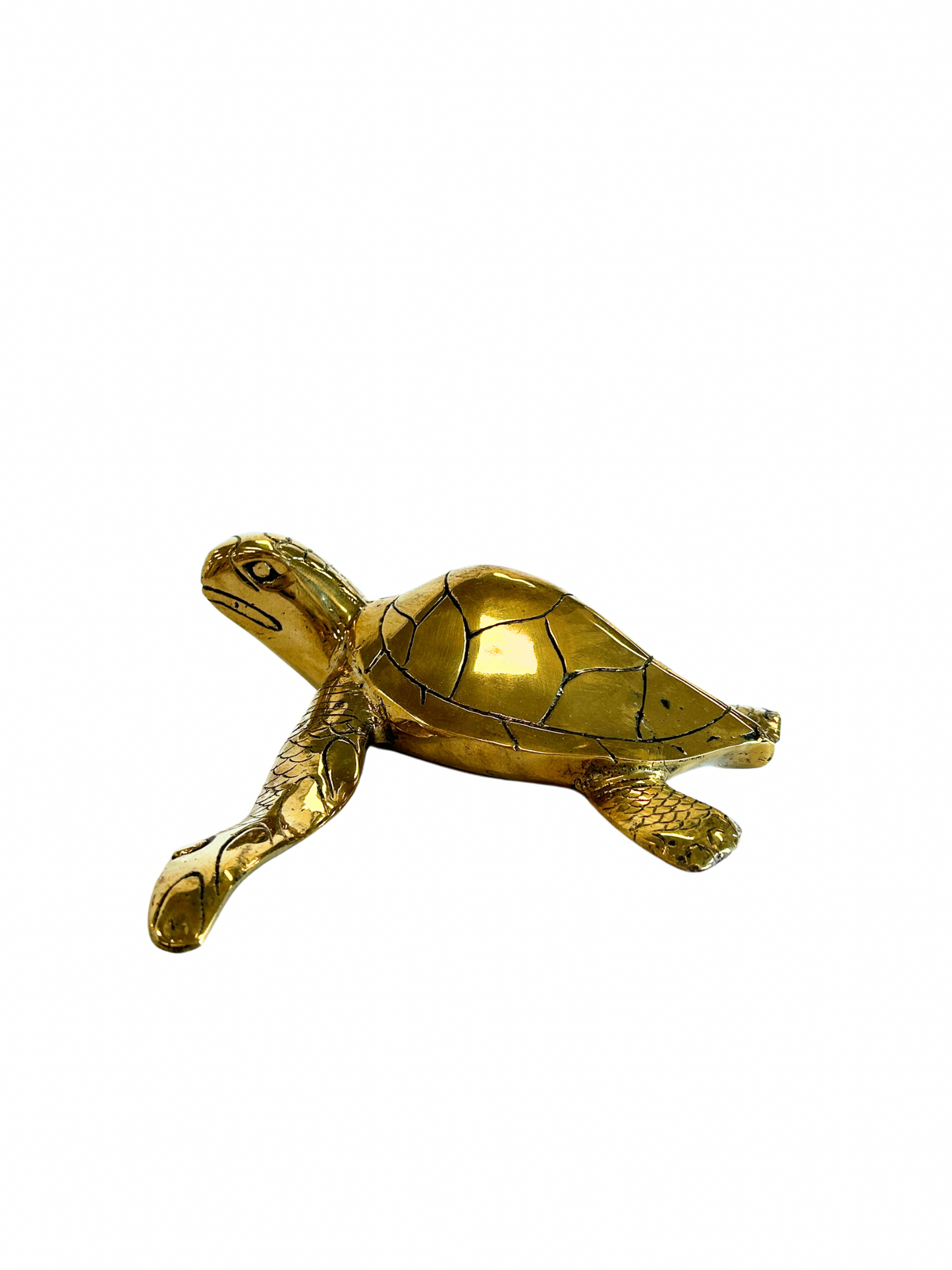 Brass Turtle