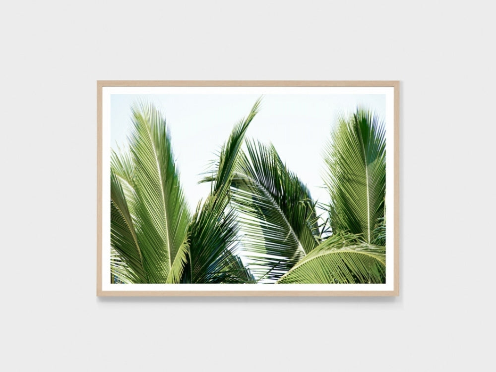 Tropic View Artwork – enspirefurniture